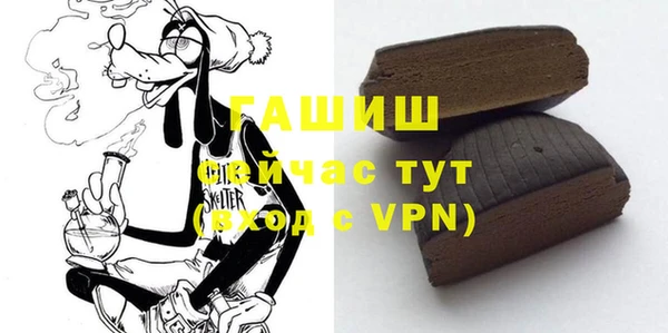 молекула духа Елабуга