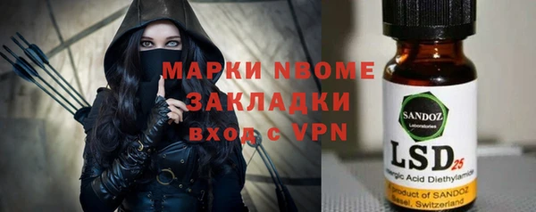 молекула духа Елабуга