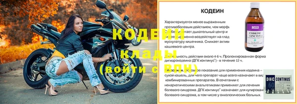 молекула духа Елабуга