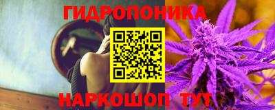 spice Балашиха