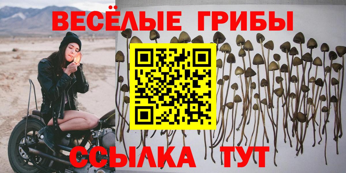 Псилоцибиновые грибы Magic Shrooms Рузаевка