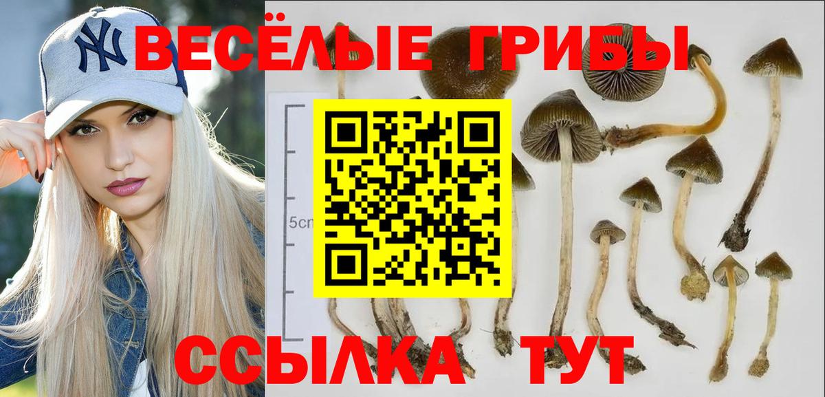 Рузаевка  Галлюциногенные грибы Cubensis  наркотики  Вход с VPN 